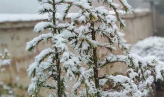 古人说三月下雪民间说法